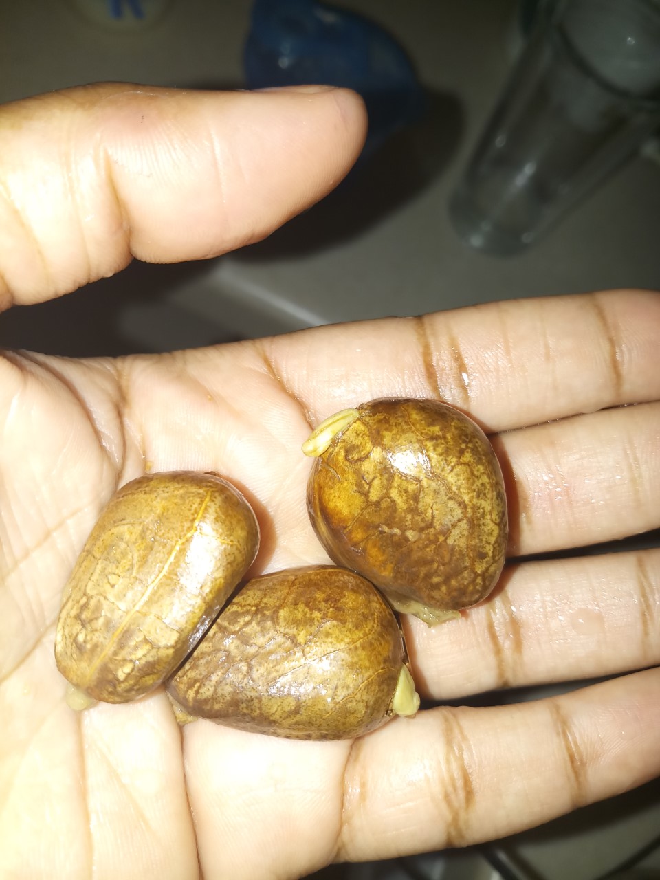 thumbnail_20190228_175829